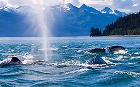 Image de Seward